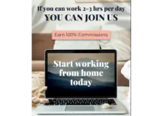 Discover How to Earn $10,000 Monthly with Just 2 Hours a Day! Free Guide!