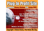 Build a wealthy life with $50 start up!