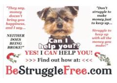 Earn From My Spillover