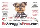 Earn From My Spillover
